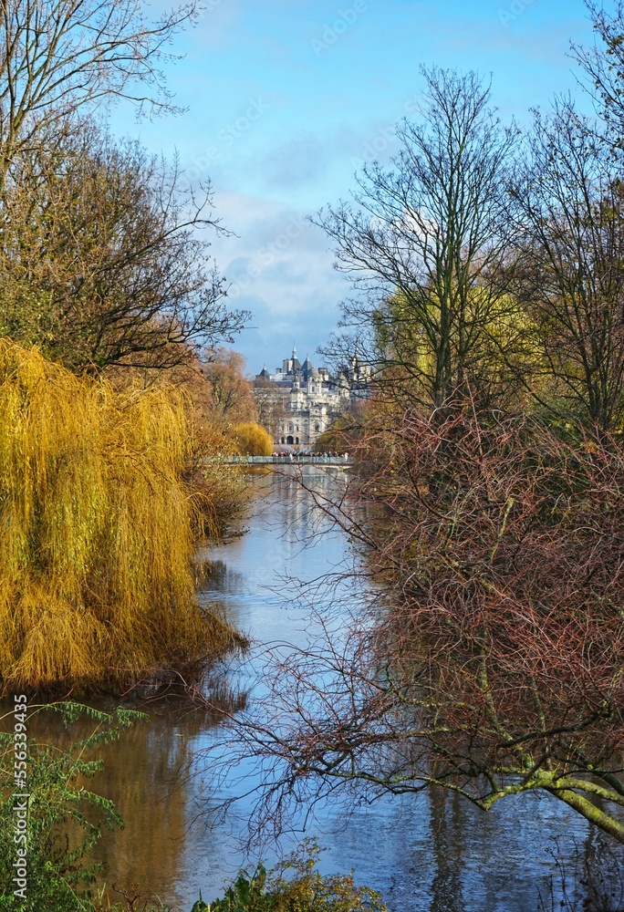 Fototapeta premium autumn in the park