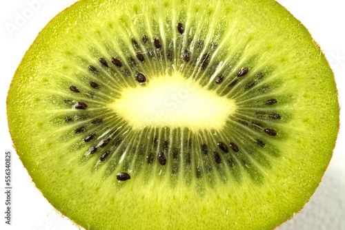 Kiwi fruit sliced macro view