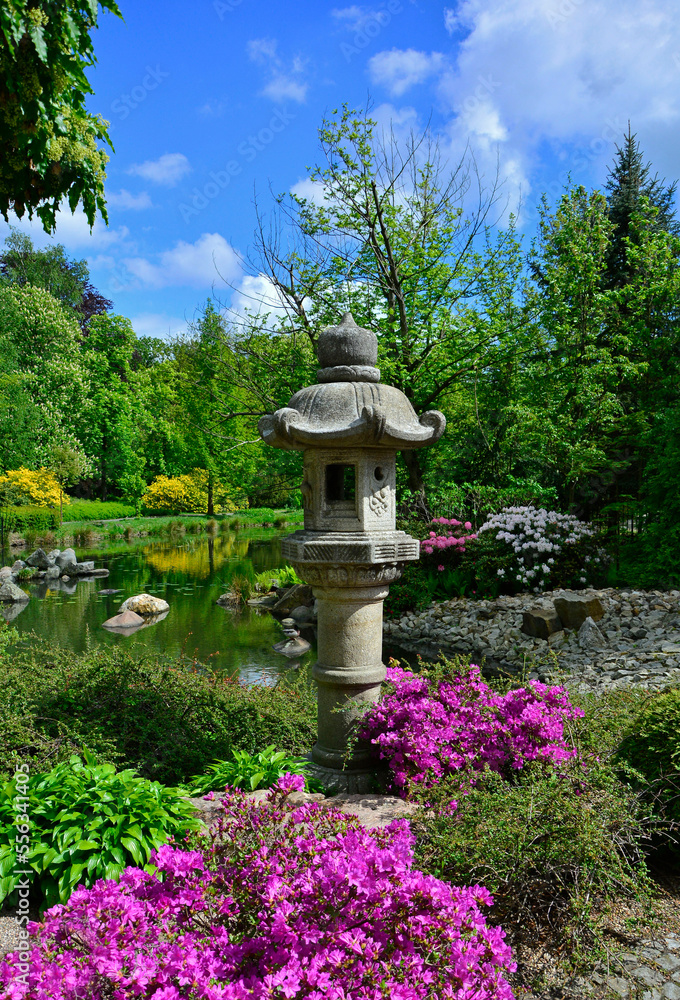 Fototapeta premium ogród japoński nad wodą, japońska latarenka kamienna, japanese garden, designer garden
