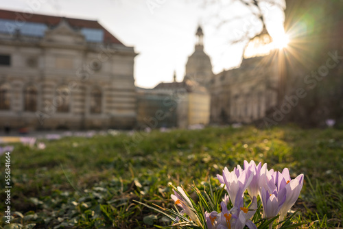 Dresden