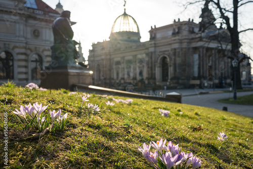Dresden