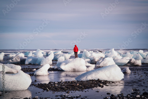 ice on the beach