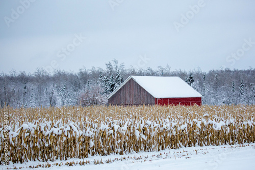 Red barn next to a cornfield after a Wisconsin snow storm in December