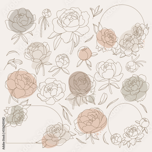 Peony flowers and leaves in line art style icons set. Contemporary floral design. Spring flowers blossom