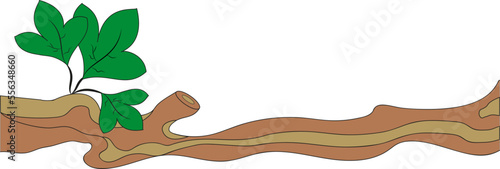 Twig with leaves vector. Nature flat design. Jungle template