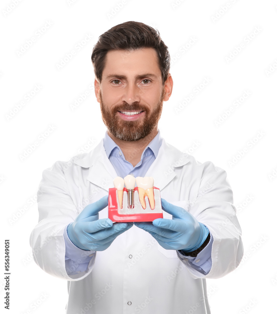 Dentist holding educational model of dental implant on white background Dentist holding educational model of dental implant on white background