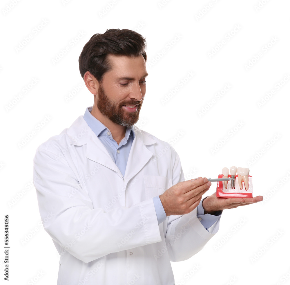 Dentist holding educational model of dental implant on white background Dentist holding educational model of dental implant on white background