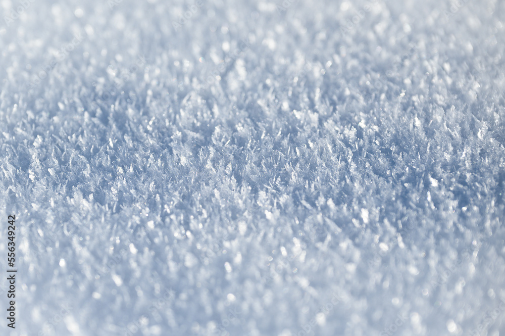 Obraz premium Frost Close Up #2