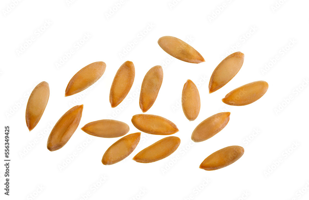 Rockmelon or Cantaloupe Seeds