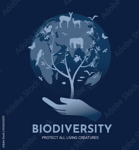 Concept of biodiversity. Hand holds silhouette of tree. Nature, flora and fauna, aesthetics and elegance, minimalistic creativity and art. Graphic element for website. Cartoon flat vector illustration