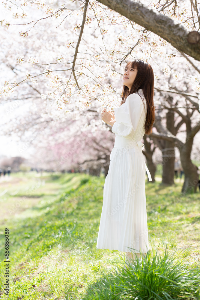 美しい日本女性 美しい日本女性