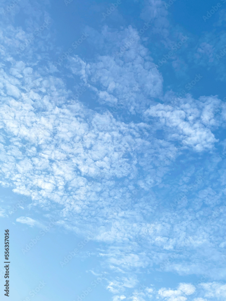 Fototapeta premium blue sky with clouds