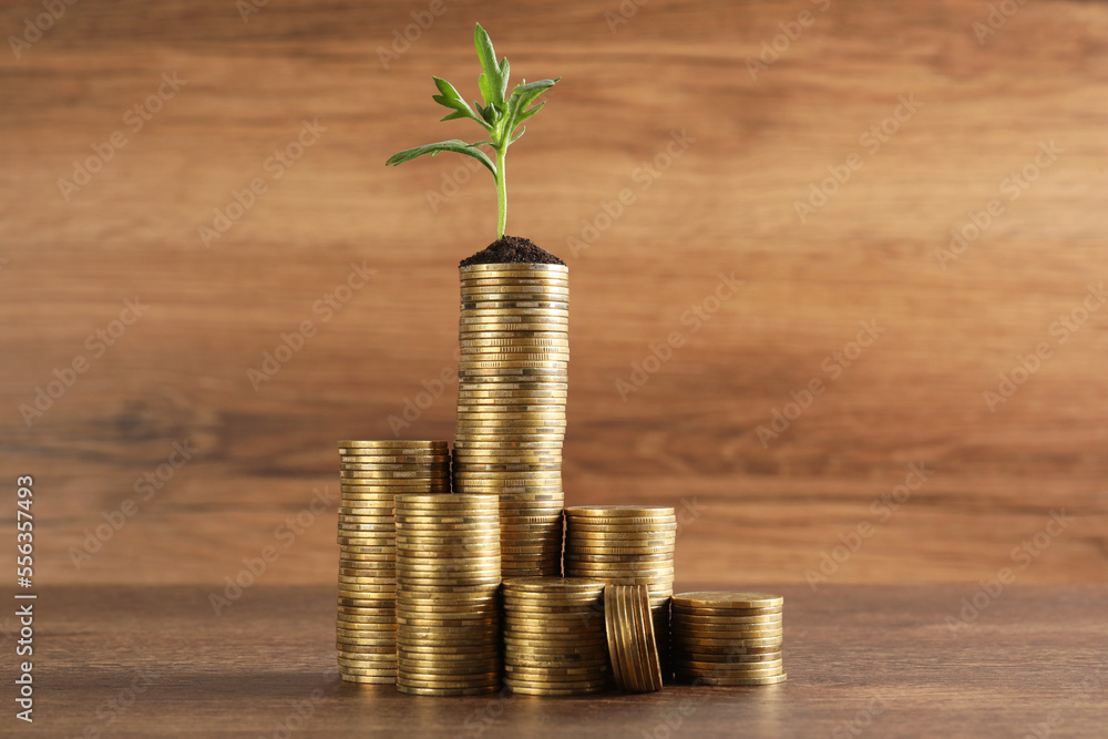 Stacked coins and green sprout on wooden table. Investment concept Stacked coins and green sprout on wooden table. Investment concept