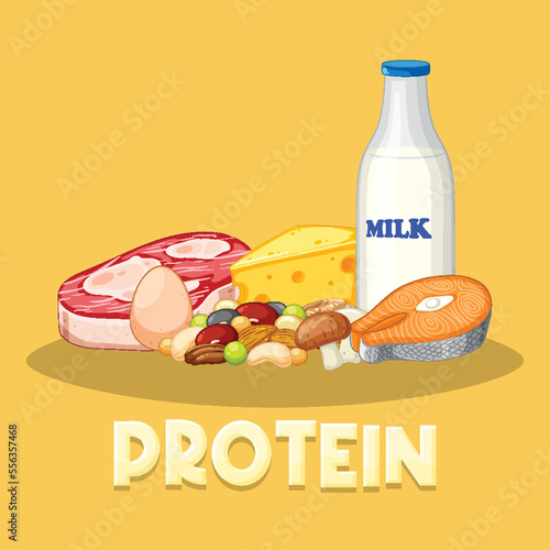 Variety of protein foods with text