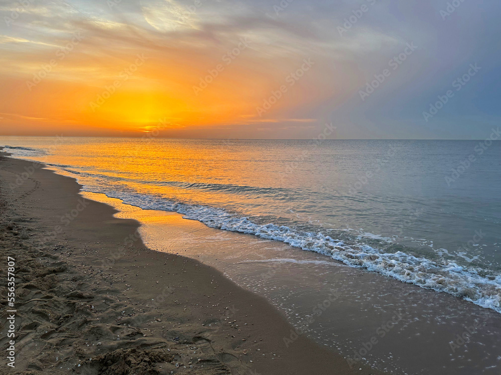 Beautiful view of sandy beach at sunrise