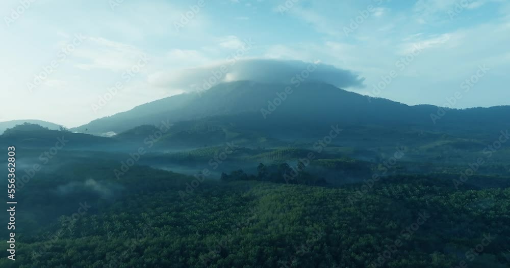 Aerial view Cinematic scene Green forest area in the tropics In the background there is an amazing huge mountain. with soft sunlight in the morning There was a strange cloud above the mountain top. Aerial view Cinematic scene Green forest area in the tropics In the background there is an amazing huge mountain. with soft sunlight in the morning There was a strange cloud above the mountain top.