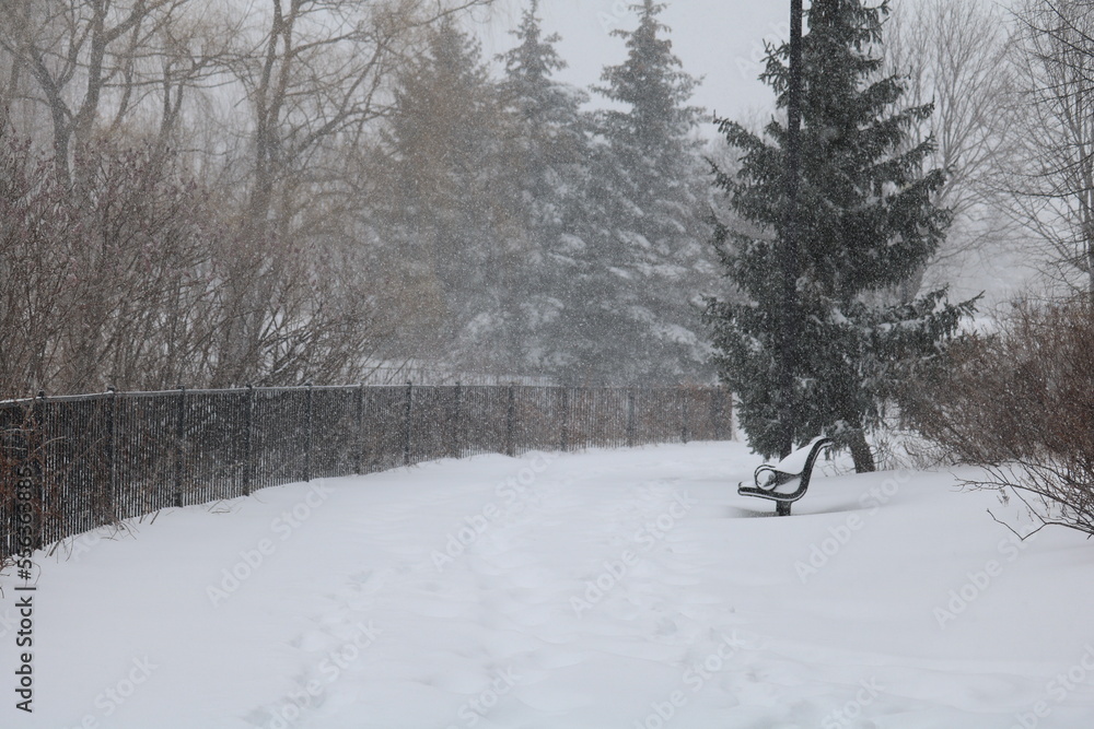 Winter scene in Canada Winter scene in Canada