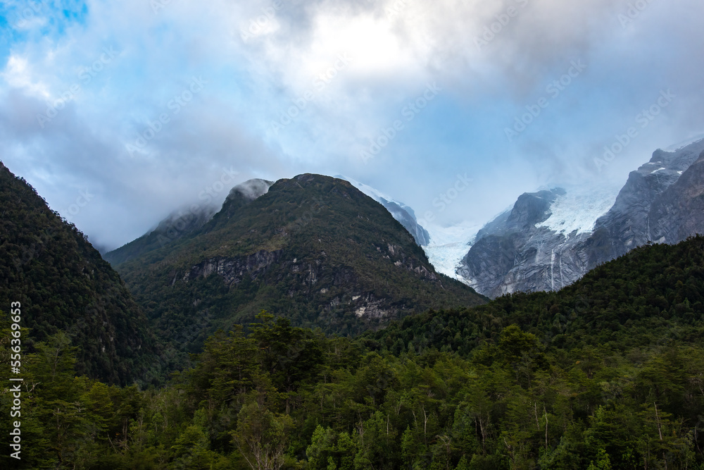 Panorámica del bosque, Patagonia de Chile