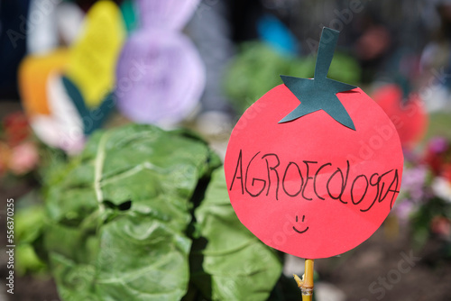 Paper figure of tomato with word justice, concept of sustainable agriculture photo