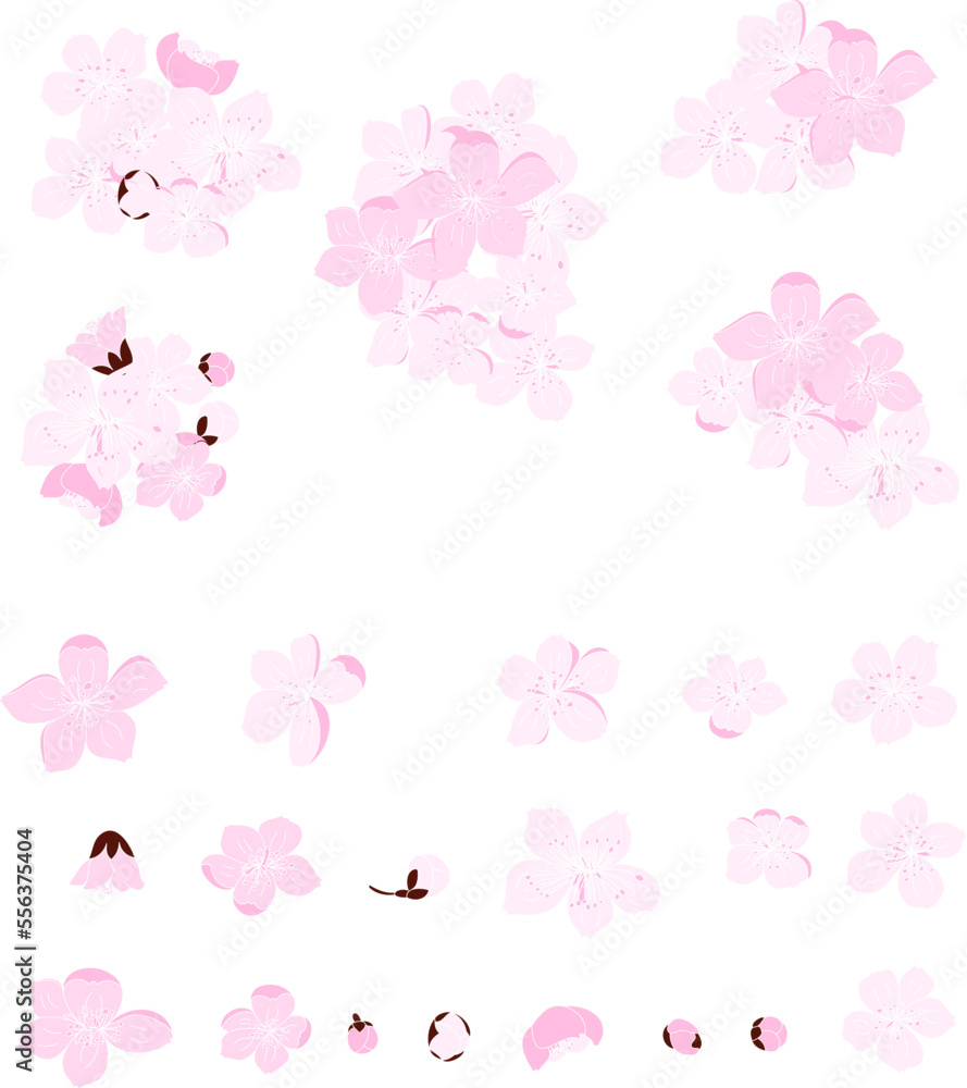 Peach flower and cherry blossom set.Sakura vector set.isolate and golden flower.Free hand Sakura flower vector set, Branch of cherry blossom for rich on red background.plum blossom illustration.