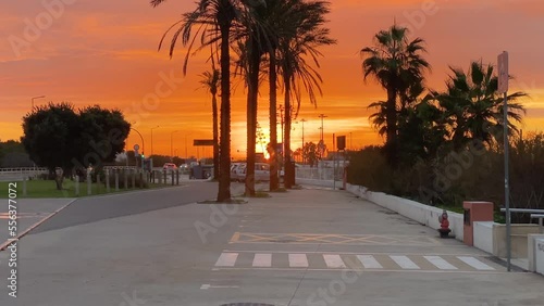 Lonely palm trees at car parking and dramatic sunset on the empty beach in marginal road, Carcavelos photo