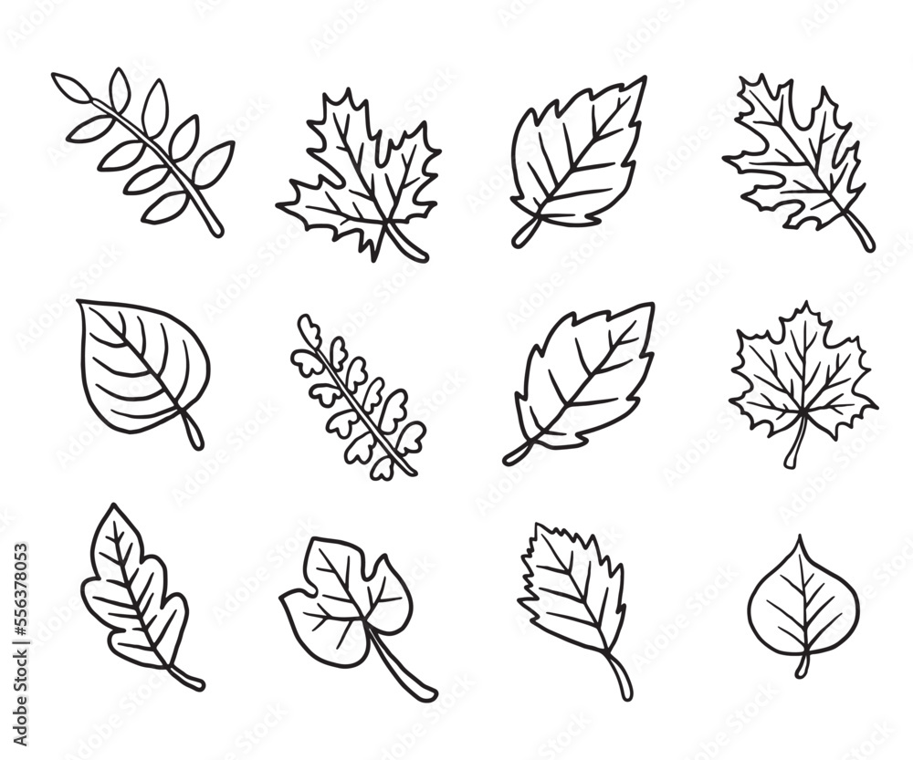 Dry autumn fall leaf doodle icon Dry autumn fall leaf doodle icon