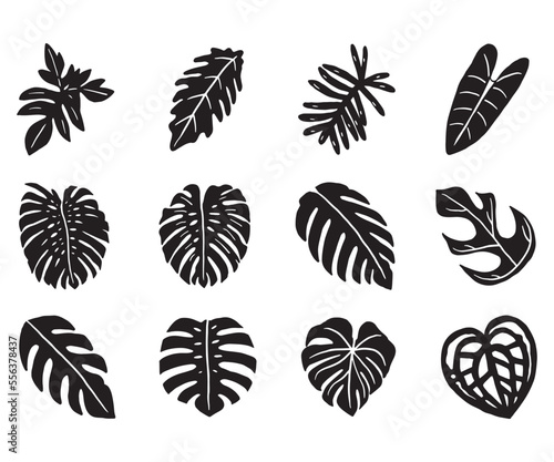 Tropical plant leaf doodle icon