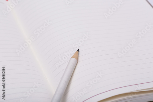a white pencil in an open notebook