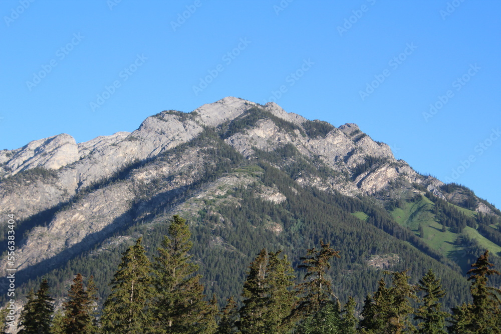 Top of the mountain, Banff National Park, Alberta