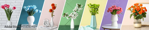 Set of stylish vases with b...