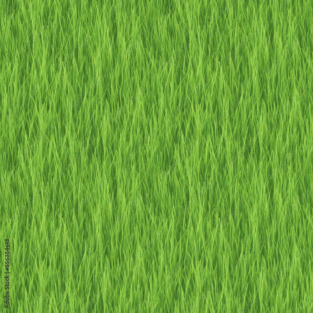 Long Spring Grass Texture Long Spring Grass Texture