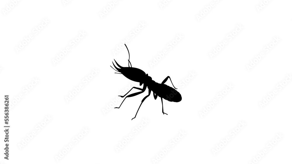 termite silhouette termite silhouette