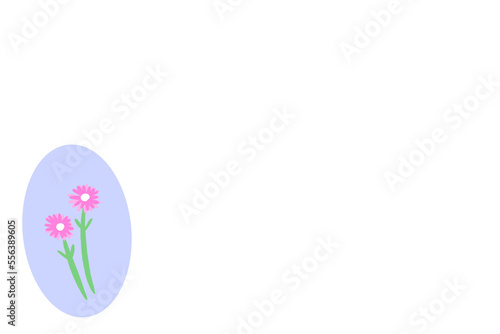 二輪の花 ピンク色の花 余白スペース 白背景 イラスト