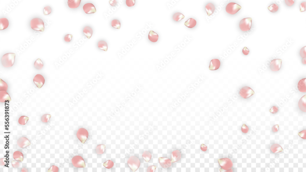 Pink Vector Realistic Petals Falling on Transparent Background. Spring Romantic Flowers Illustration. Flying Petals. Sakura Spa Design. Blossom Confetti. Design Elements for Wedding Decoration. Pink Vector Realistic Petals Falling on Transparent Background. Spring Romantic Flowers Illustration. Flying Petals. Sakura Spa Design. Blossom Confetti. Design Elements for Wedding Decoration.