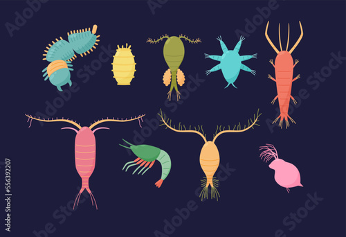 Marine zooplankton crustaceans and organisms set, flat vector isolated.