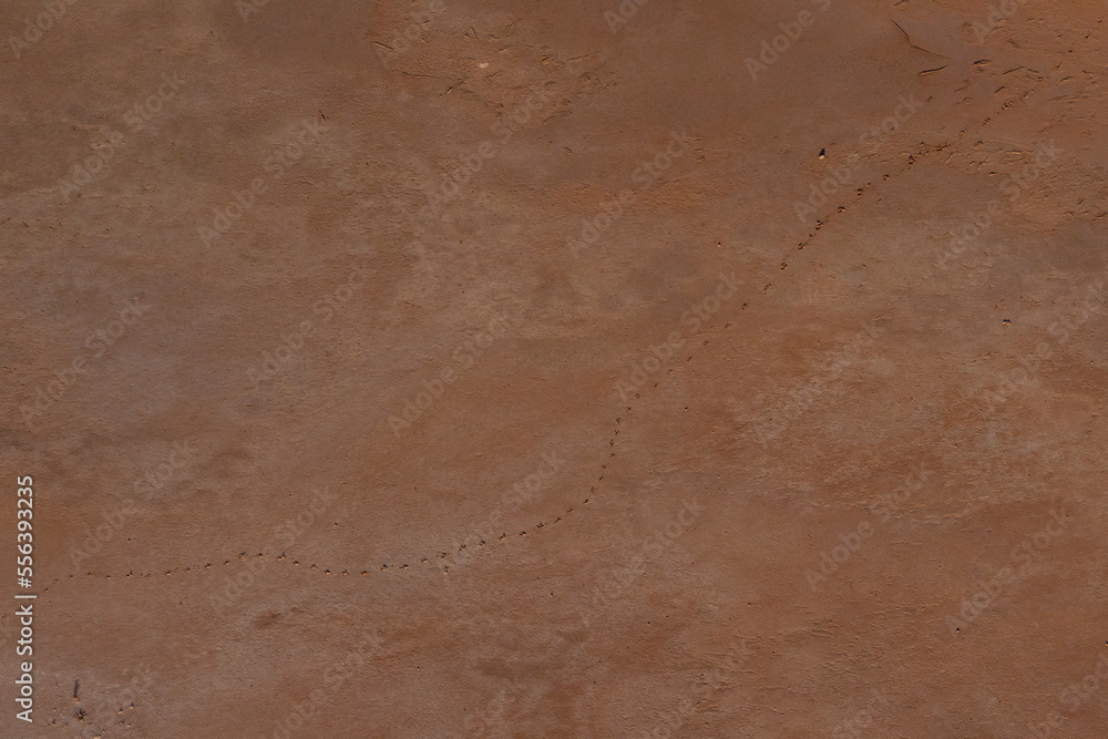 Fototapeta premium Kati Thanda Lake Eyre, South Australia, Australia. Aerial photography showing animal tracks in the landscape of outback Australia. 