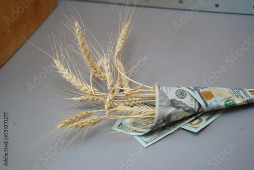 Almaty, Kazakhstan - 10.04.2022 : Stalks of harvested wheat and several dollar bills. photo