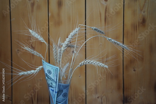 Almaty, Kazakhstan - 10.04.2022 : Stalks of harvested wheat and several dollar bills. photo