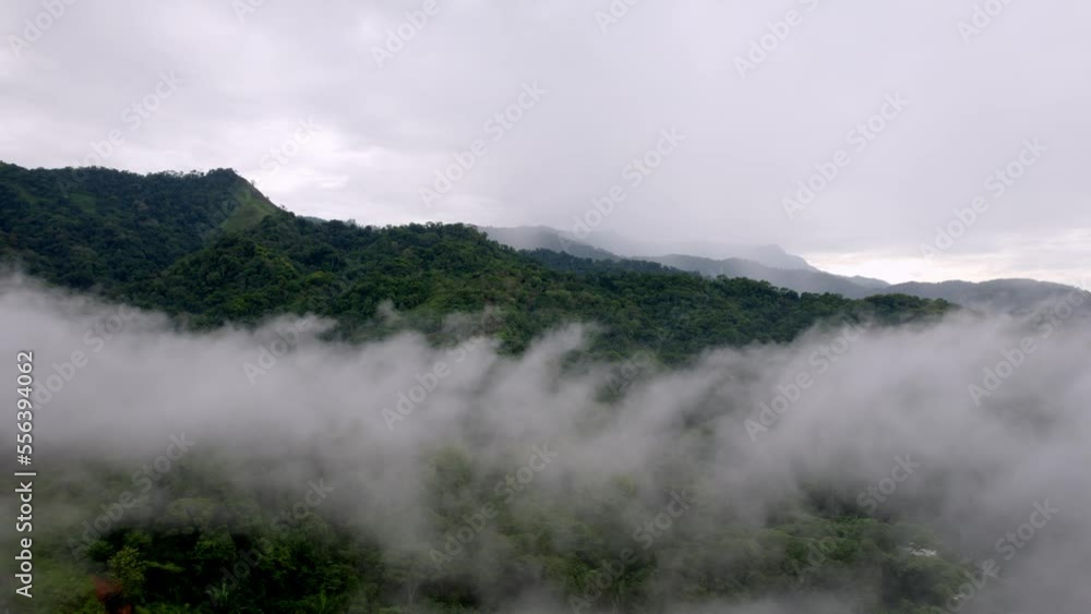 Slow rotating shot flying alongside thick fog above a dense forest Slow rotating shot flying alongside thick fog above a dense forest