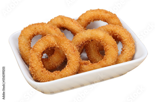 fried onion rings photo