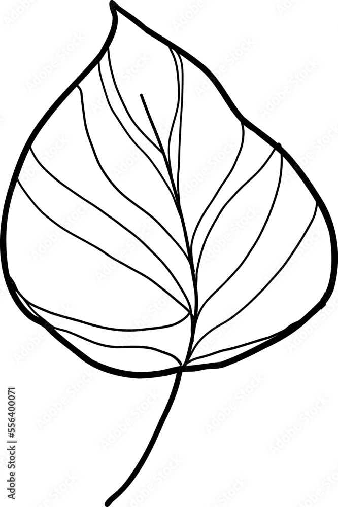 Anemone flower. Linear poppy flower. Hand drawn illustration. This art is perfect for invitation cards, spring and summer decor, greeting cards, posters, scrapbooking, print, etc. Anemone flower. Linear poppy flower. Hand drawn illustration. This art is perfect for invitation cards, spring and summer decor, greeting cards, posters, scrapbooking, print, etc.
