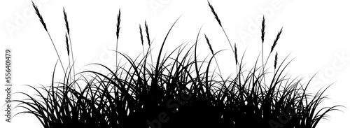 meadow grass silhouette