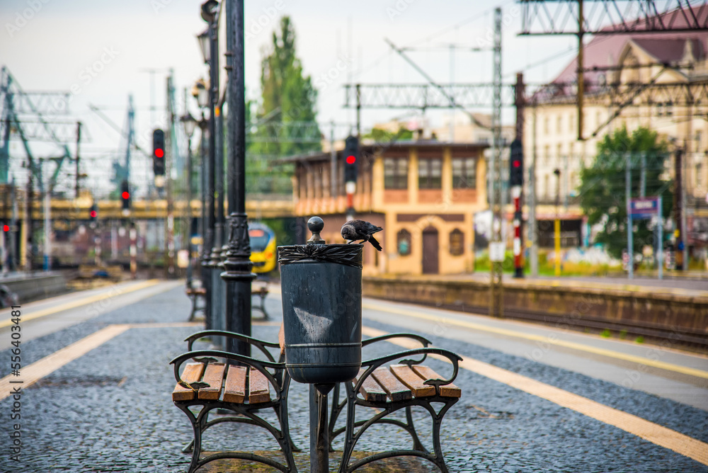 Train station and rails in Gdynia, Poland