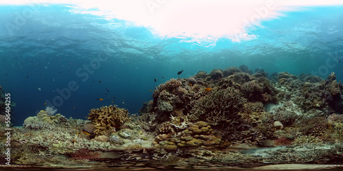 Fototapeta Naklejka Na Ścianę i Meble -  Coral reef underwater with tropical fish. Hard and soft corals, underwater landscape. Tropical underwater sea fish. Philippines. Virtual Reality 360.
