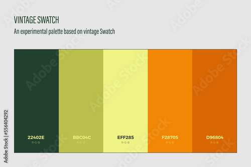 Vintage Swatch . An experimental color palette for designers .