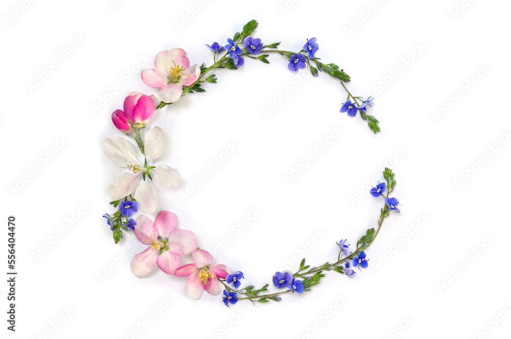 Wreath of flowers apple tree and blue wildflowers forget-me-nots on a white background with space for text. Top view, flat lay