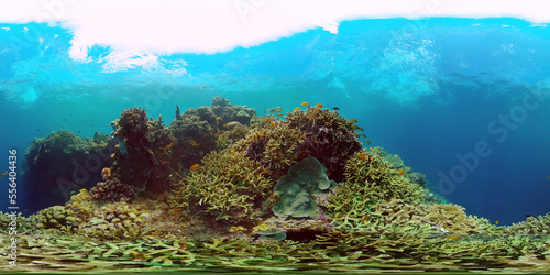 Tropical coral reef seascape with fishes, hard and soft corals. 360 panorama VR