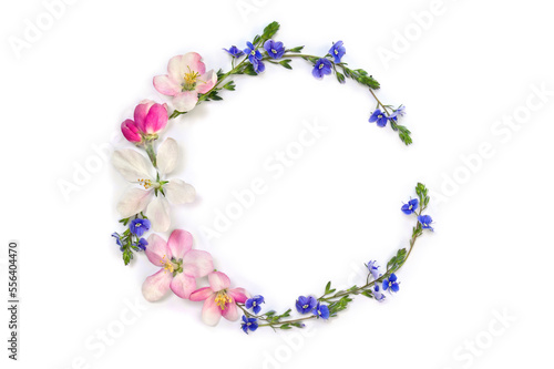 Wreath of flowers apple tree and blue wildflowers forget-me-nots on a white background with space for text. Top view, flat lay