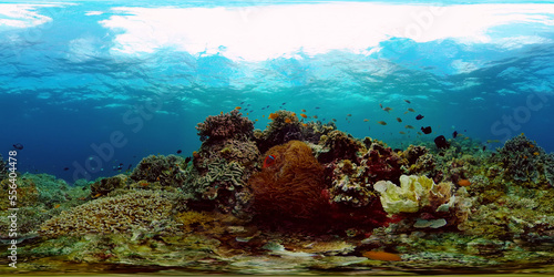 Coral reef underwater with fishes and marine life. Coral reef and tropical fish. Philippines. Virtual Reality 360.