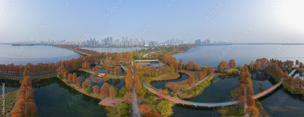 Fototapeta premium Autumn scenery of Wuhan East Lake Wetland Park Scenic Area